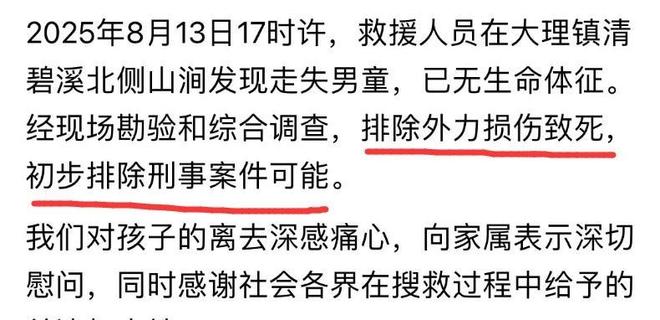 苍山8岁男童遇难：离走失点仅一公里被发现在河中无衣物现场细节刺痛人心(图4)