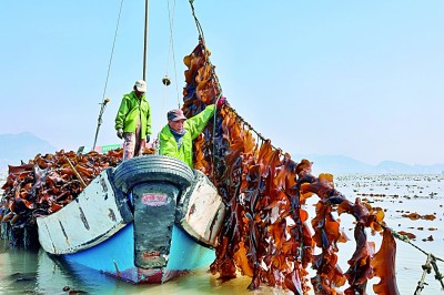【携手奔赴现代化的明天】怎样经略海洋？福建给我们打了个样儿！(图3)