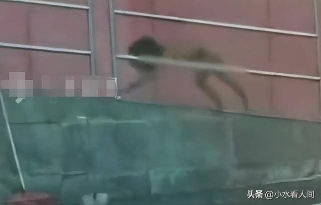 野人小孩母亲衣着暴露不穿完整衣服极端自然教养引争议(图2)