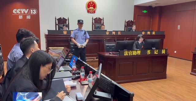 儿童走秀“盗名”国际品牌两人获刑(图8)