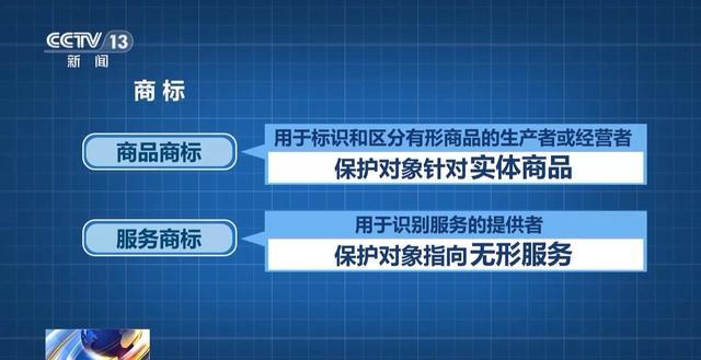 儿童走秀“盗名”国际品牌两人获刑(图9)