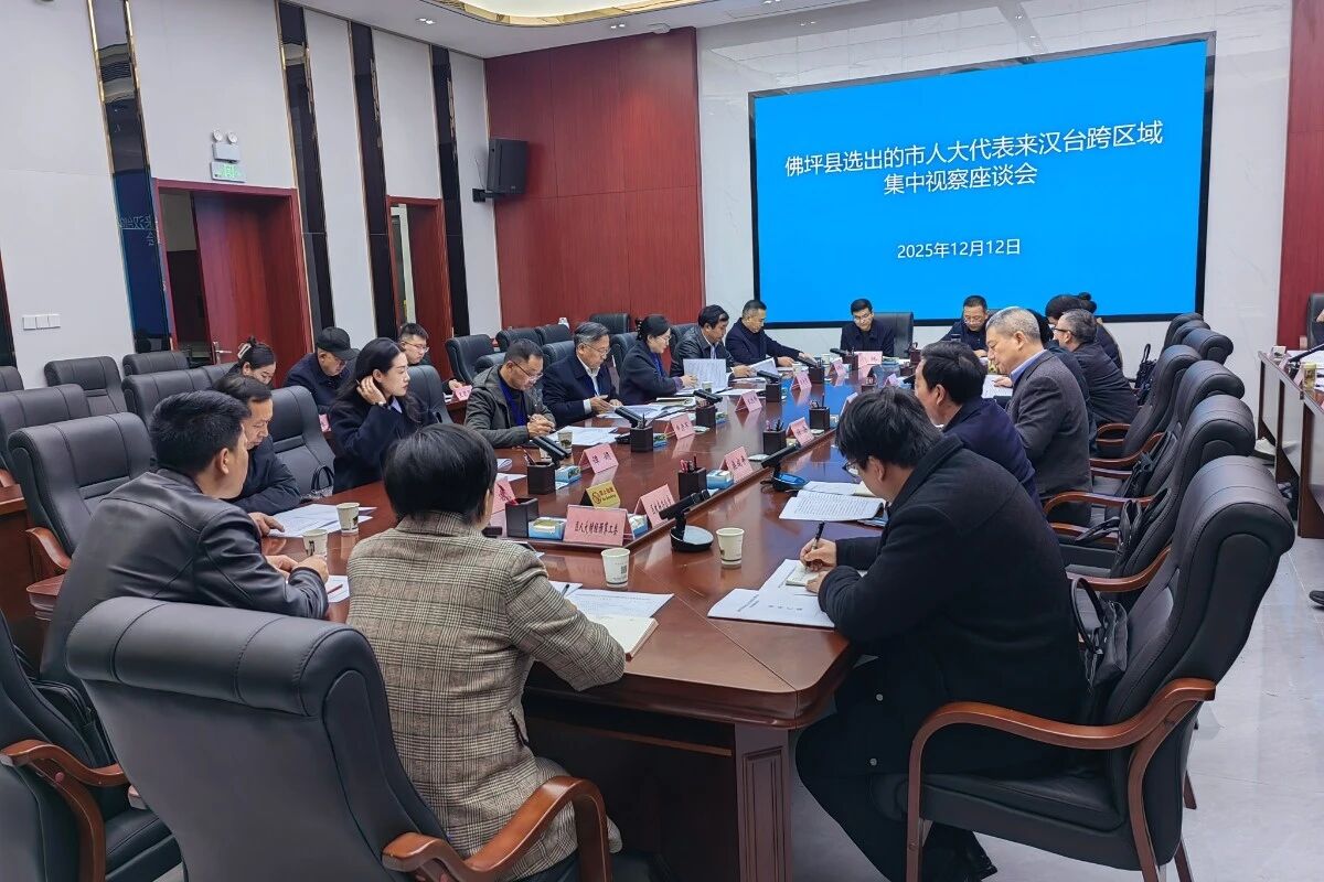 佛坪县选出的市人大代表到汉台区开展跨区域集中视察(图3)