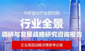 发展策略_中研普华行业研究网(图8)