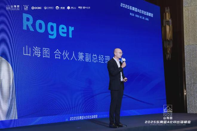 2025东南亚北非出海峰会成功举办3000家企业同聚一堂共话出海新机遇(图5)
