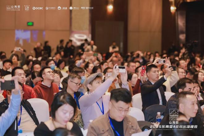 2025东南亚北非出海峰会成功举办3000家企业同聚一堂共话出海新机遇(图8)