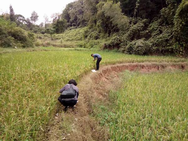 以前进口要装GPS定位如今中国机床出口超过德国登顶全球第一(图1)