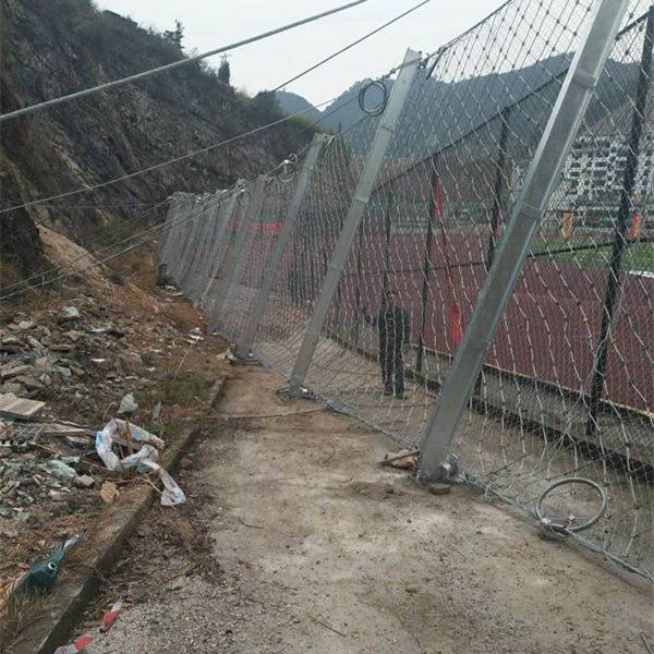 诺拓崩塌被动网被动防护网单价贵州安装防护网(图3)