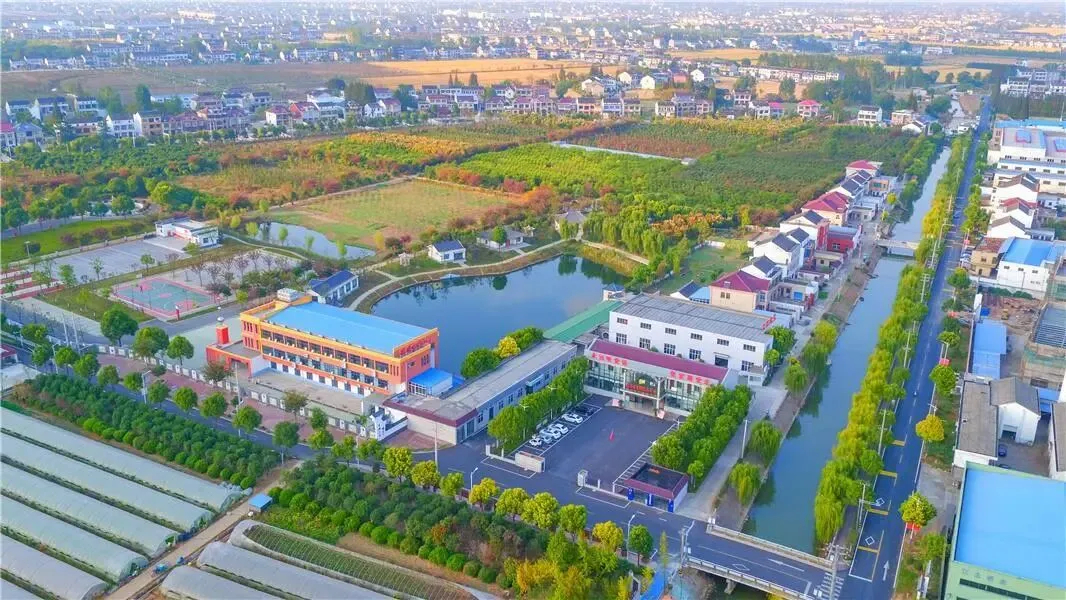 产业兴旺是实现乡村振兴的基石——“探寻德胜村的共富路”系列报道之二(图1)