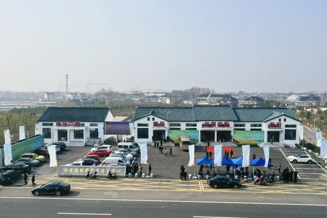 产业兴旺是实现乡村振兴的基石——“探寻德胜村的共富路”系列报道之二(图3)