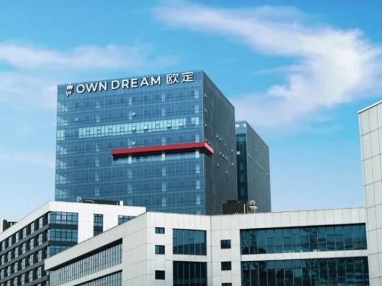 中国企业出海的“欧定模式”(图9)