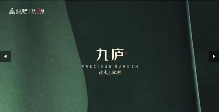 远大九庐【合肥新房-合肥买房-特价房价】(图5)