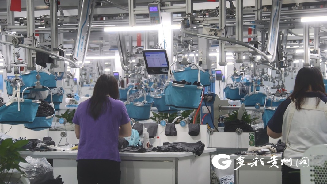 2026健身服饰行业发展现状与产业链分析(图1)